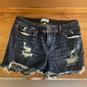 Studio Blue Jean Shorts Distressed Casual
